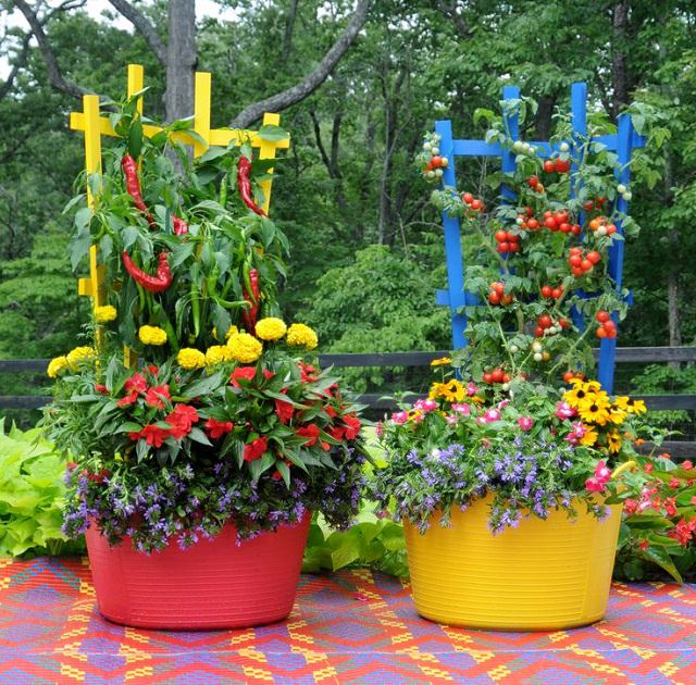 Diy Creative Patio Vegetable Garden Containers Ideas Viraldecoration