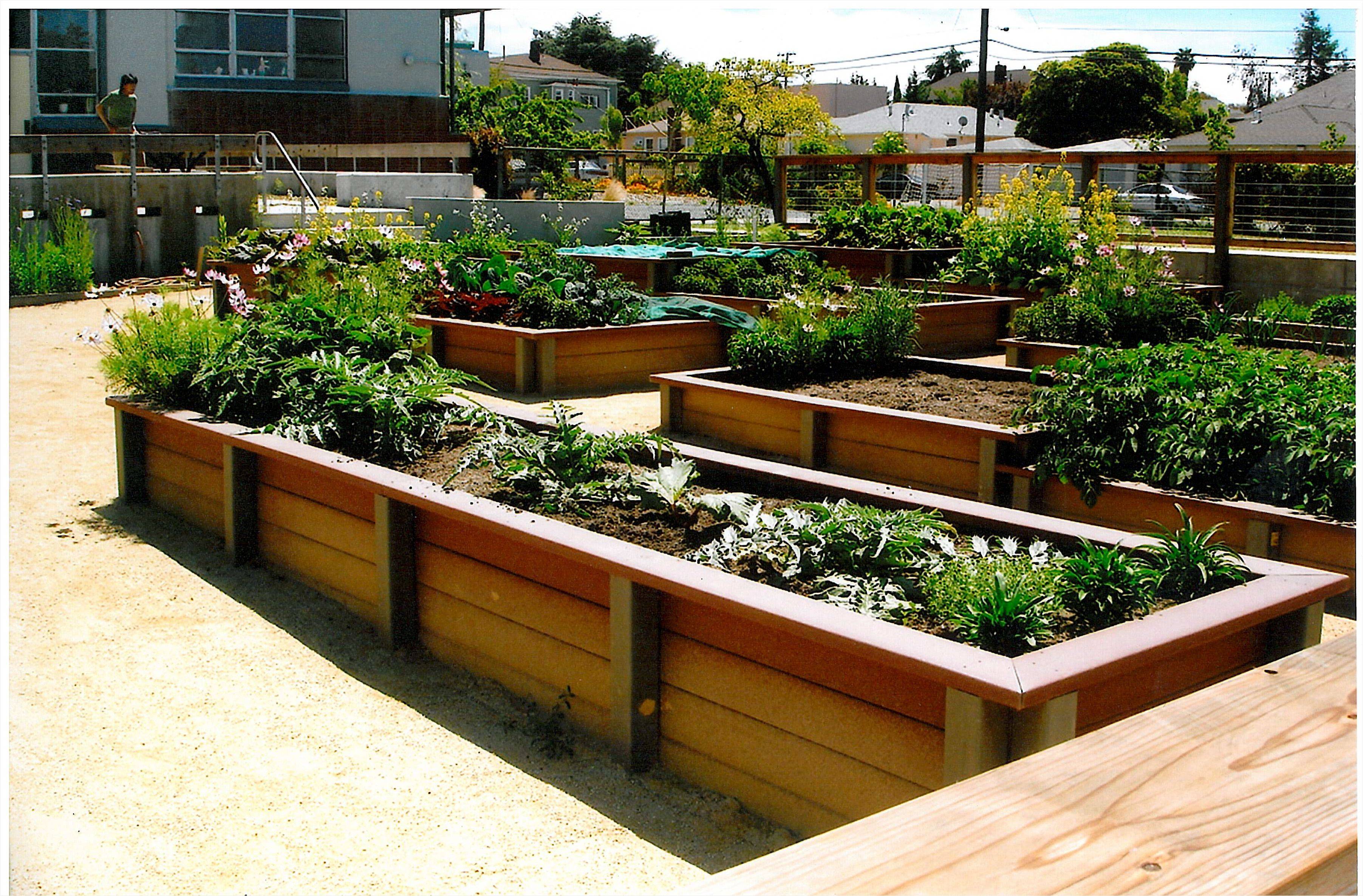 Ground Garden Box Ideas Photograph