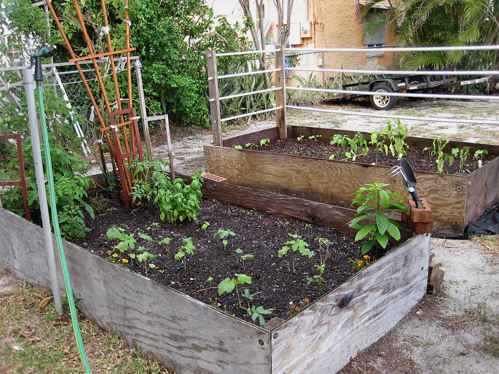 Vegetablegardenideas Garden Boxes