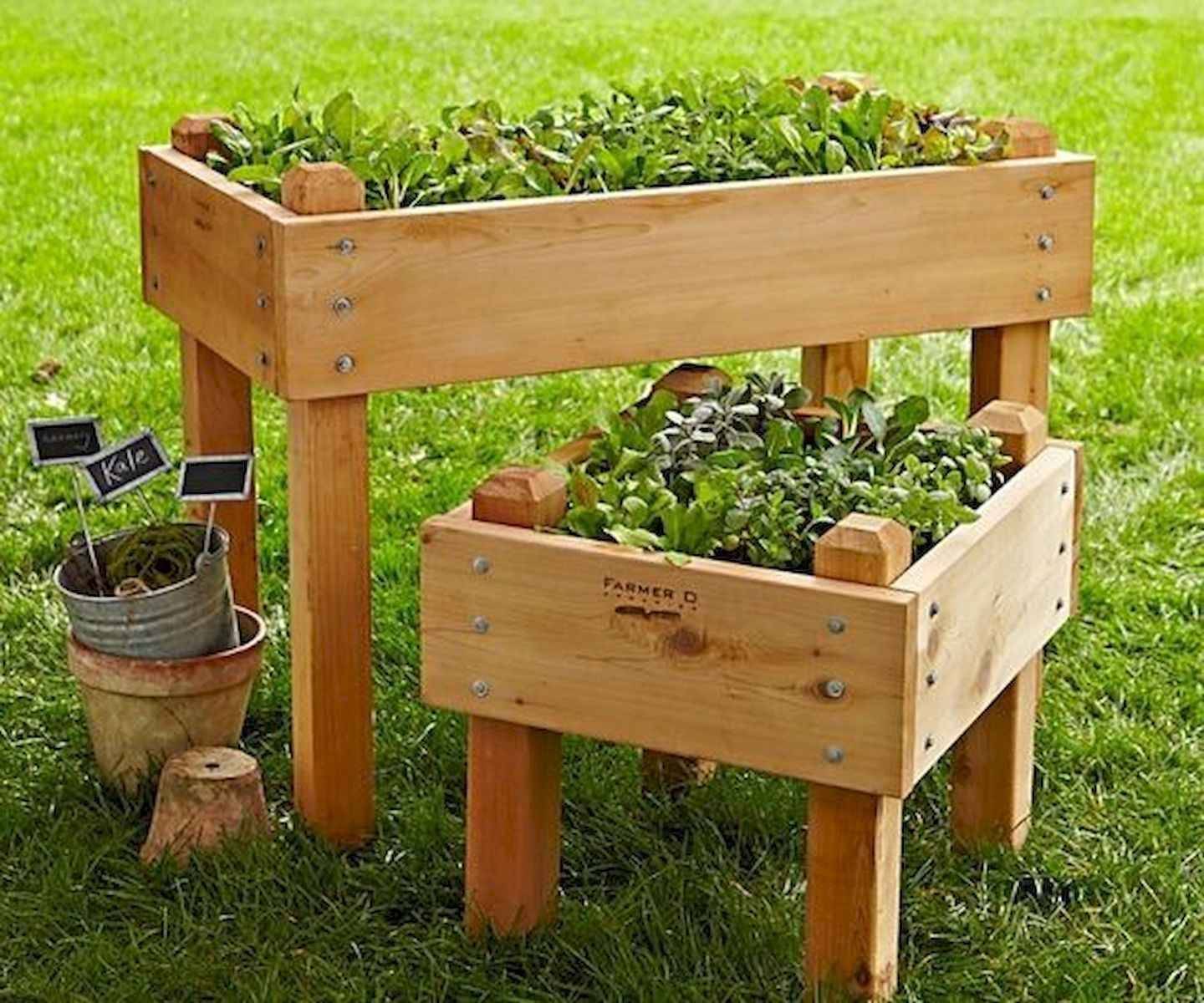 Greenland Gardener Raised