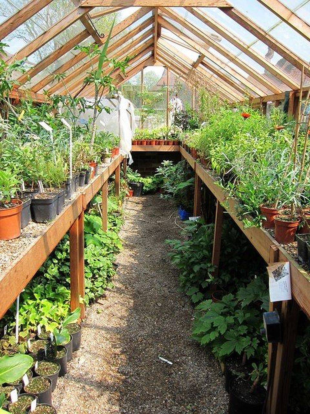 Small Greenhouse Ideas