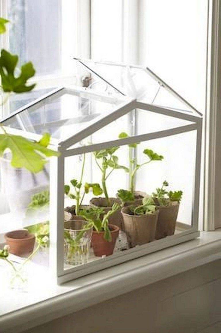 A Mini Greenhouse