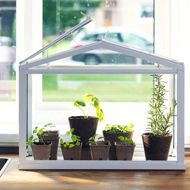 Potting Shed Ideas