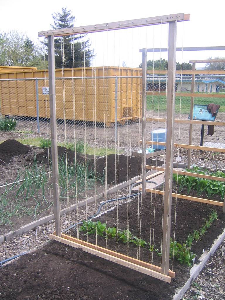 A Gorgeous Garden Trellis