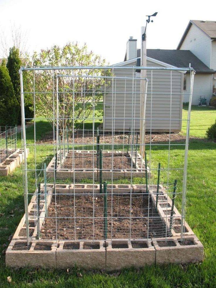 18 Garden Trellis Netting Ideas You Should Check SharonSable