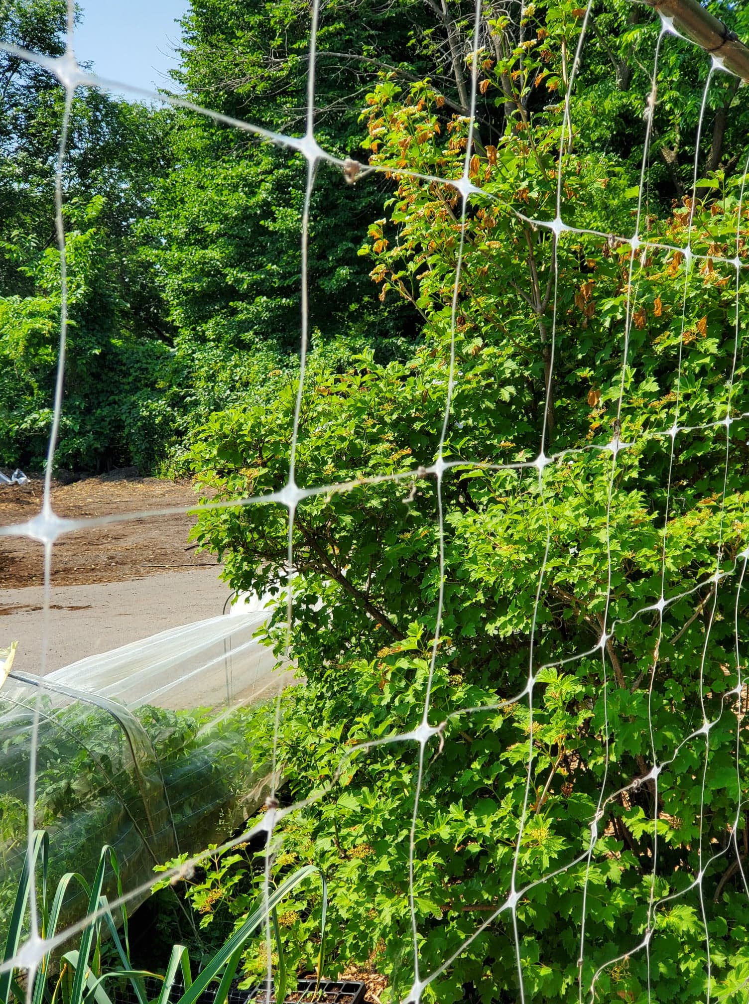 Wire Mesh Trellis Panels Popular Fijne Zondag Inspiratie