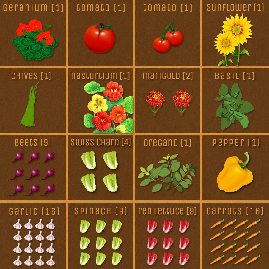 Companion Planting Square Foot Gardening Complete Guide Gardening