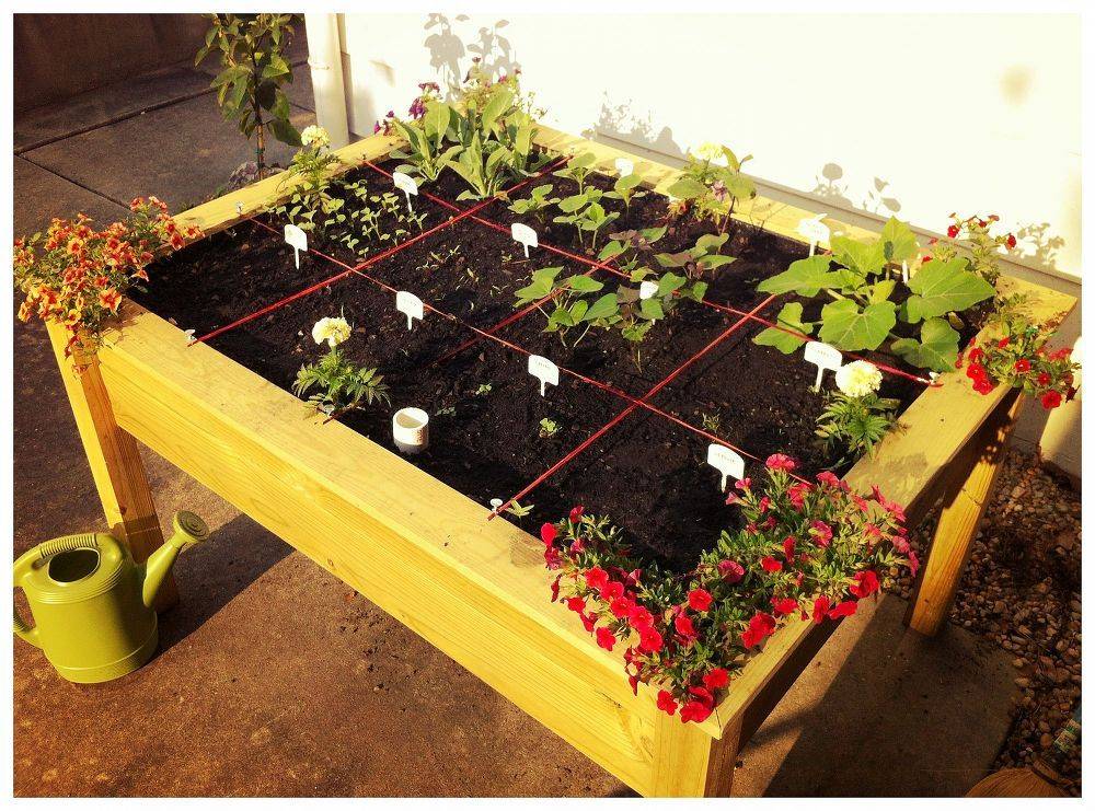 Square Foot Gardening One Hundred