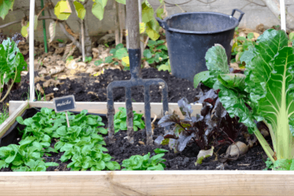 Square Foot Herb Garden Layout Outdoor Decor Ideas