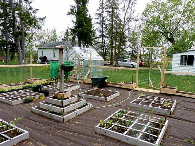 Square Foot Gardening Layout Ideas