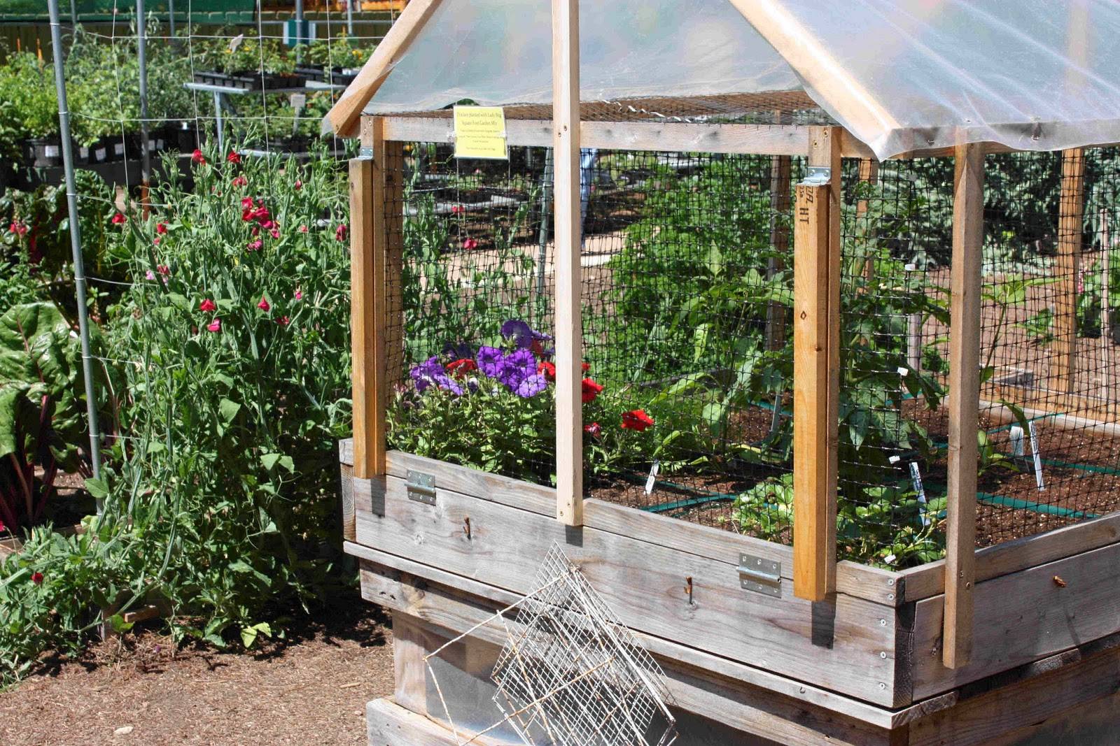 Awesome Square Foot Gardening