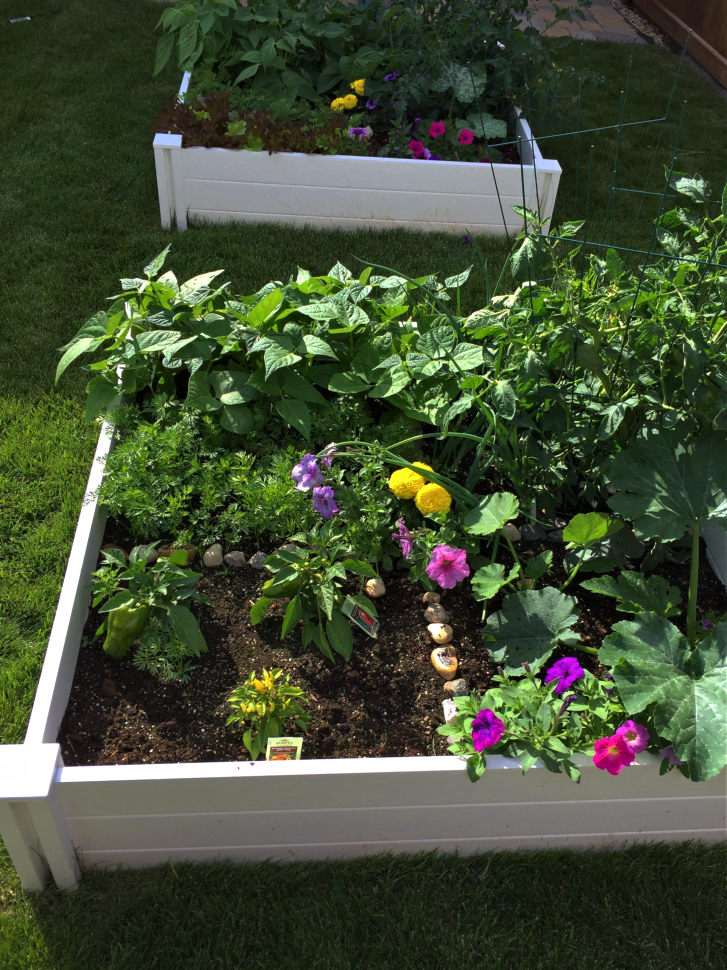 A Square Foot Garden