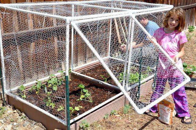 Grated Square Foot Garden Hinged Door Cage