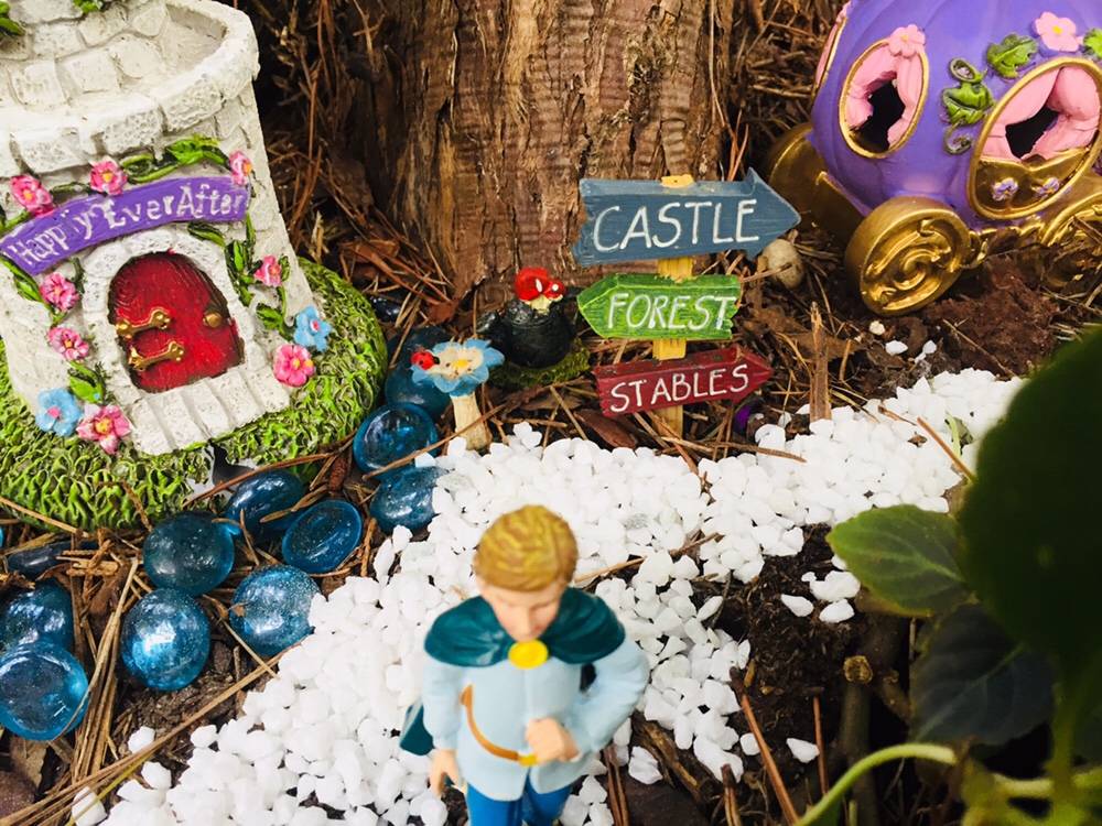 Your Own Princess Fairy Garden Glitter