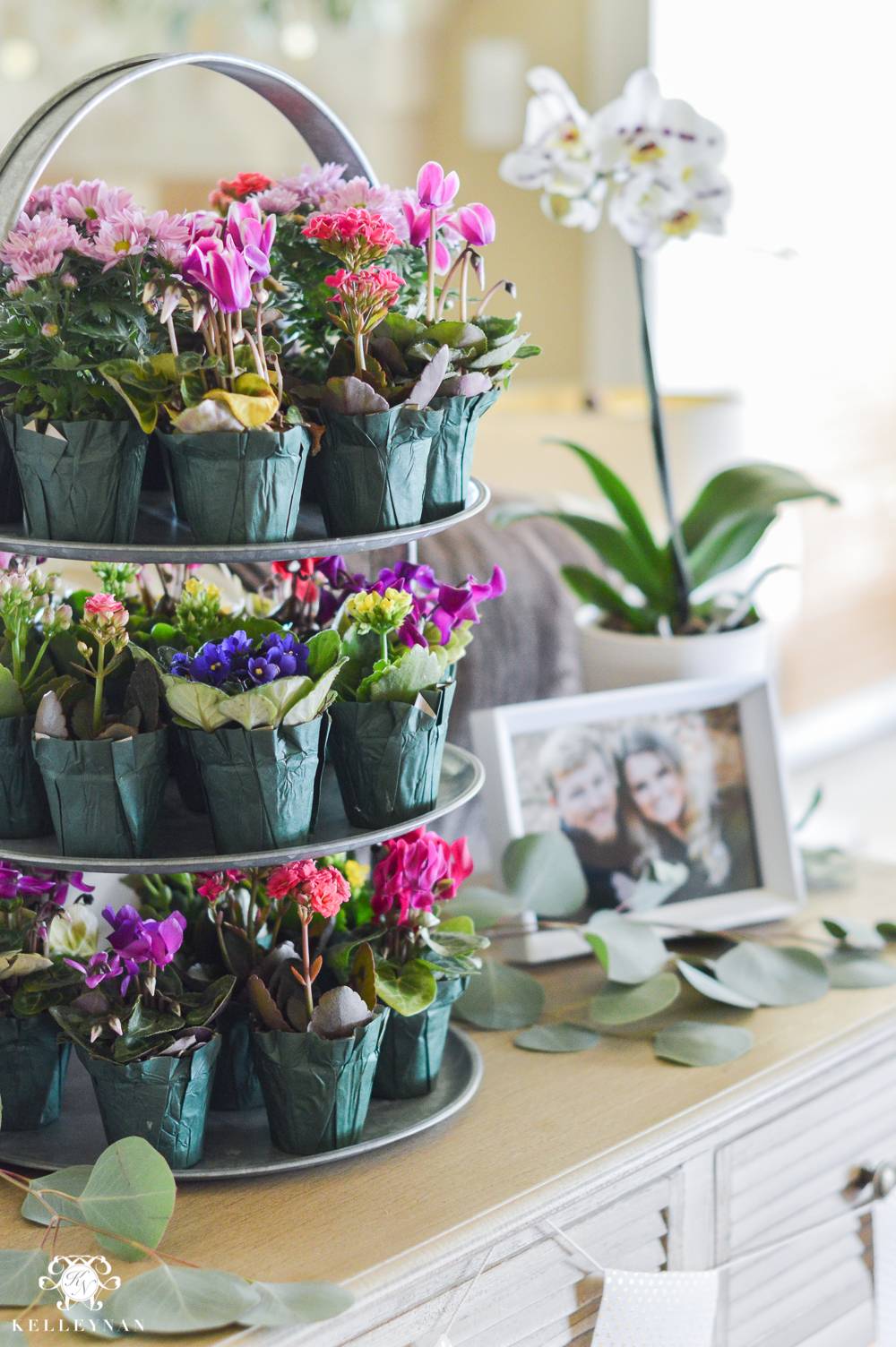 An Indoor Garden Party Bridal Shower