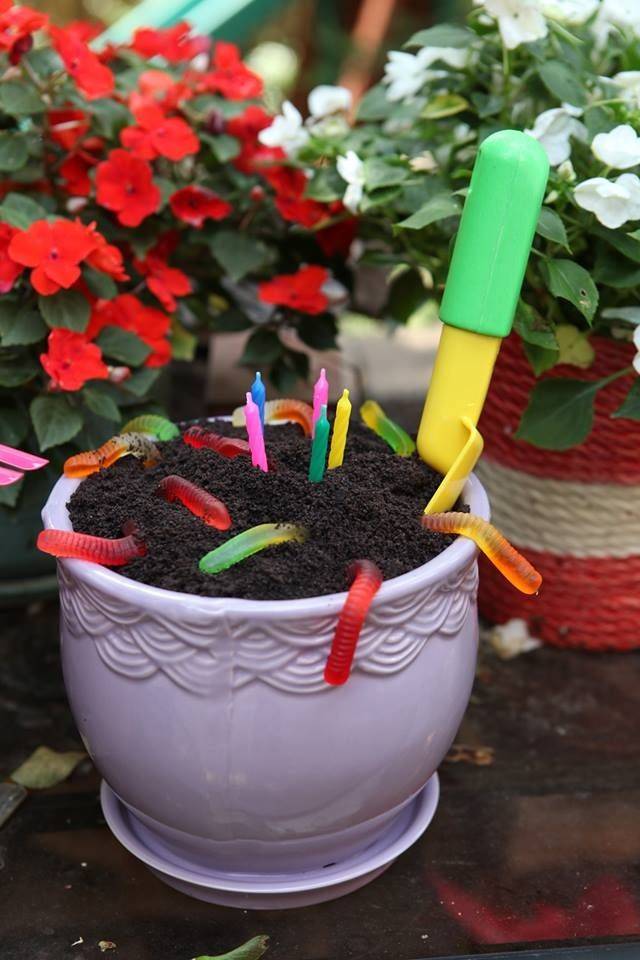 Dirt And Worms Dirt Cake