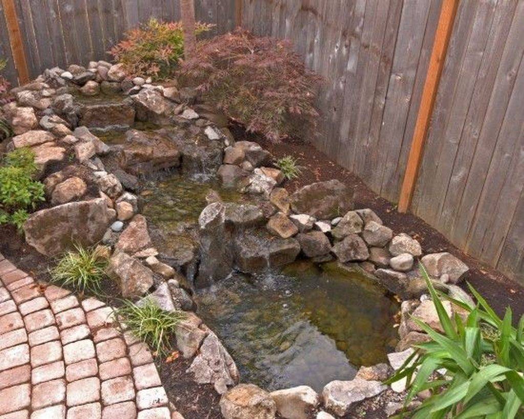 Your Garden Pond