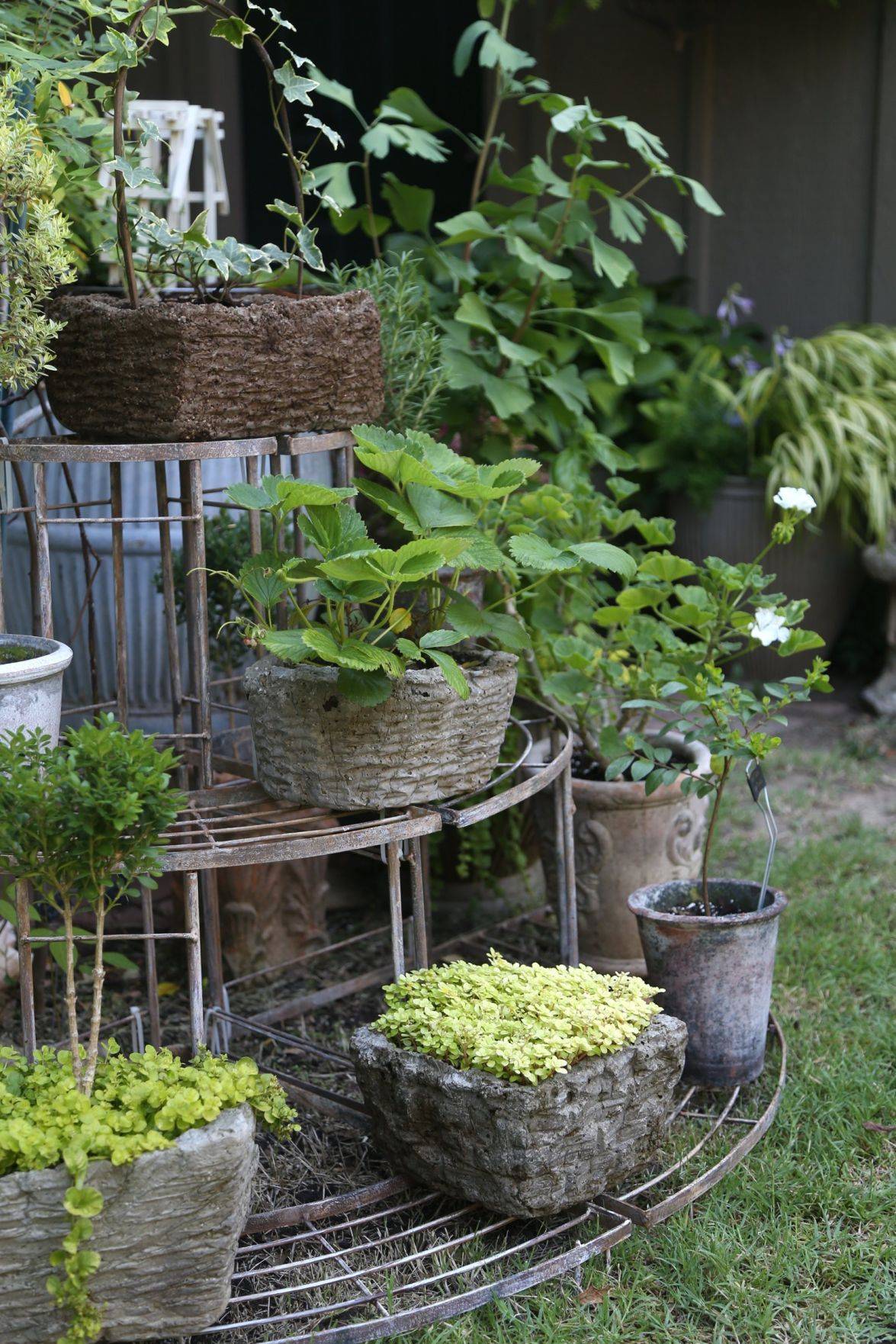 Romantic Backyard Patio Design Ideas