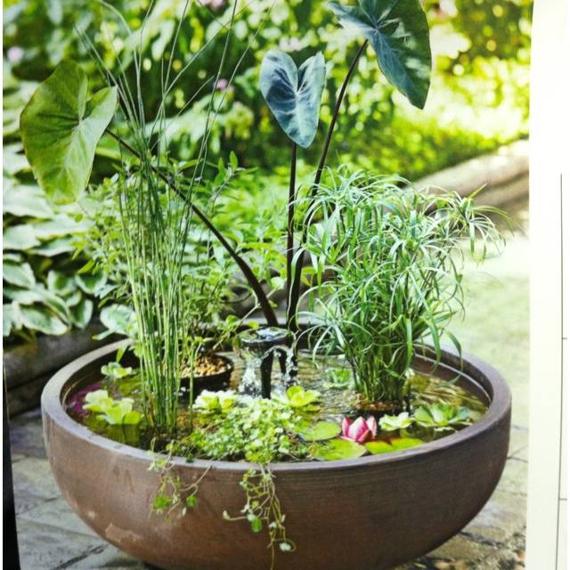Peaceful Diy Container Water Garden Ideas