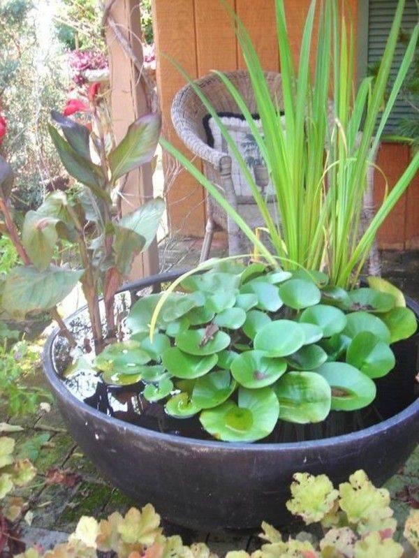 Indoor Container Water Garden Ideas