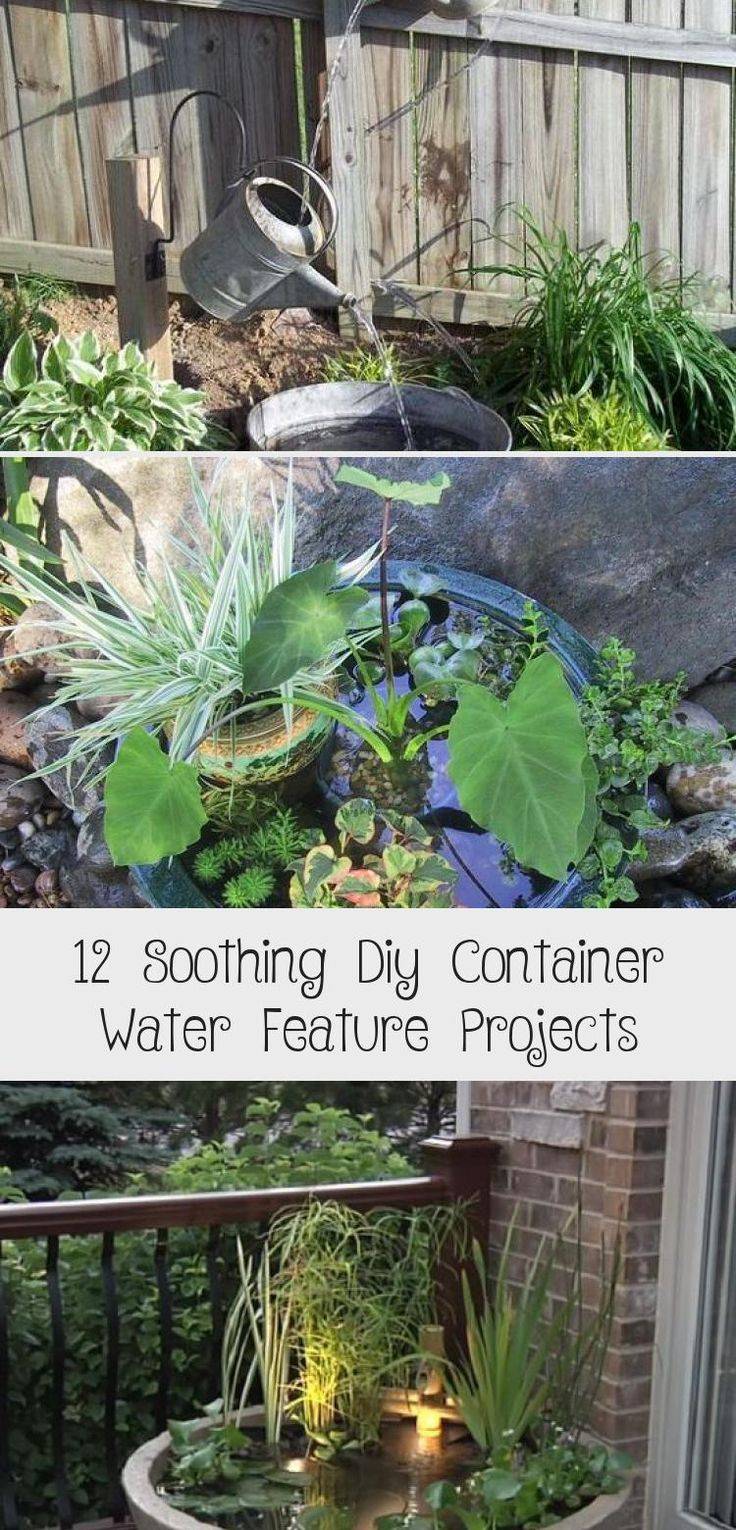 Surprising Indoor Water Garden Ideas