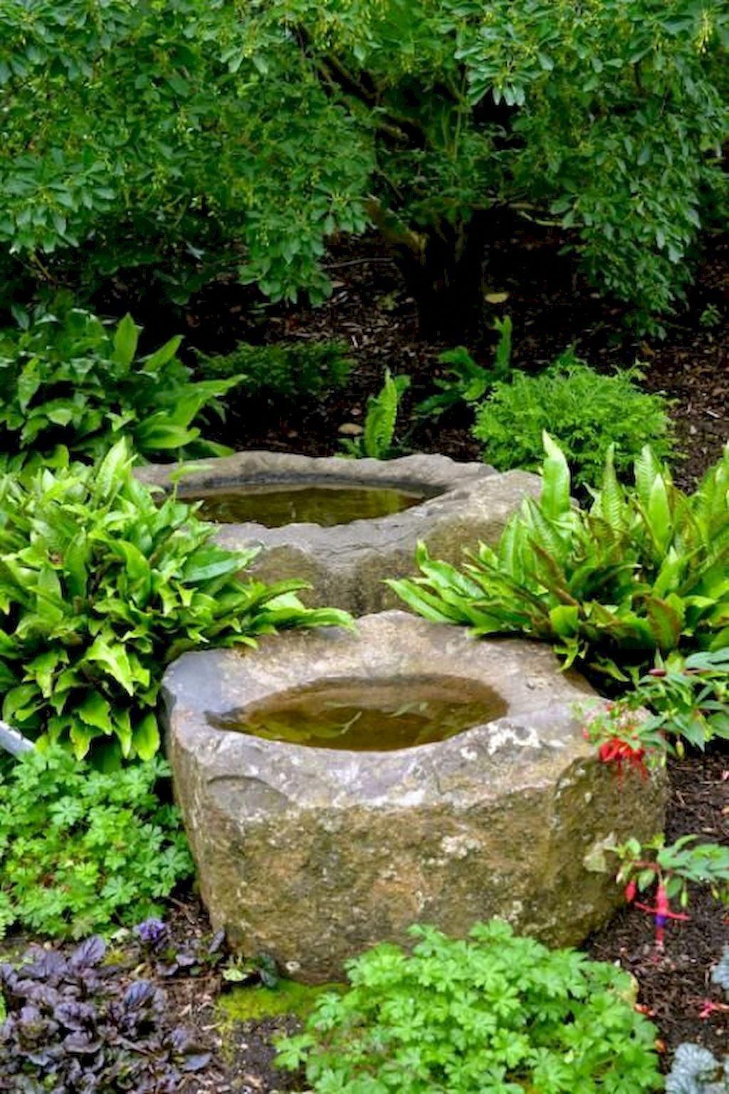 Container Water Gardens