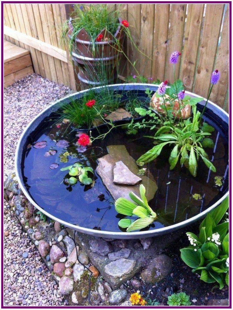 Brilliant Indoor Water Garden Ideas Page