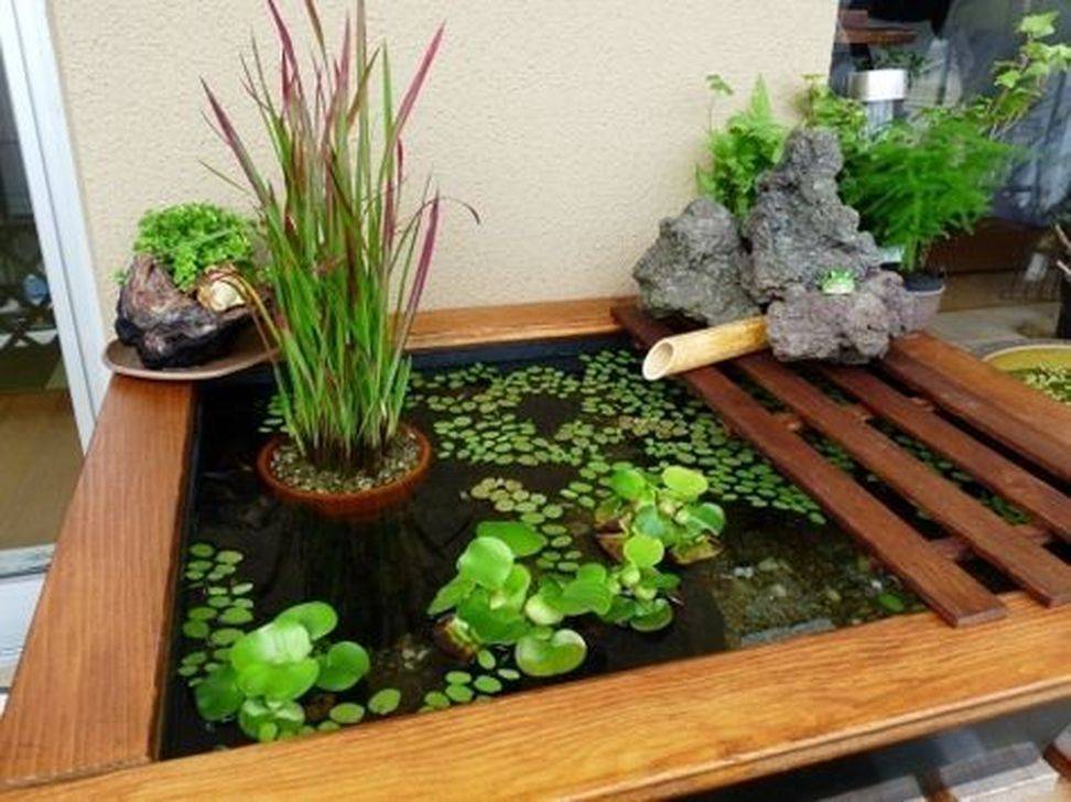 Competent Mini Aquaponic Container Water Gardens
