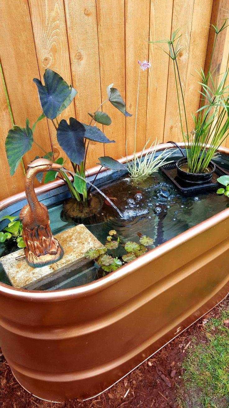 Container Pond Options Container Pond
