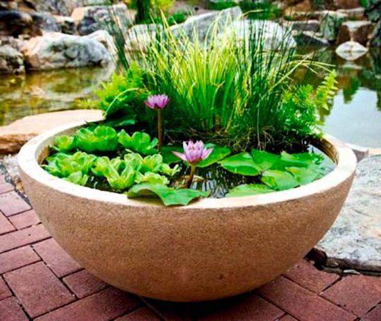 Indoor Container Water Garden Ideas
