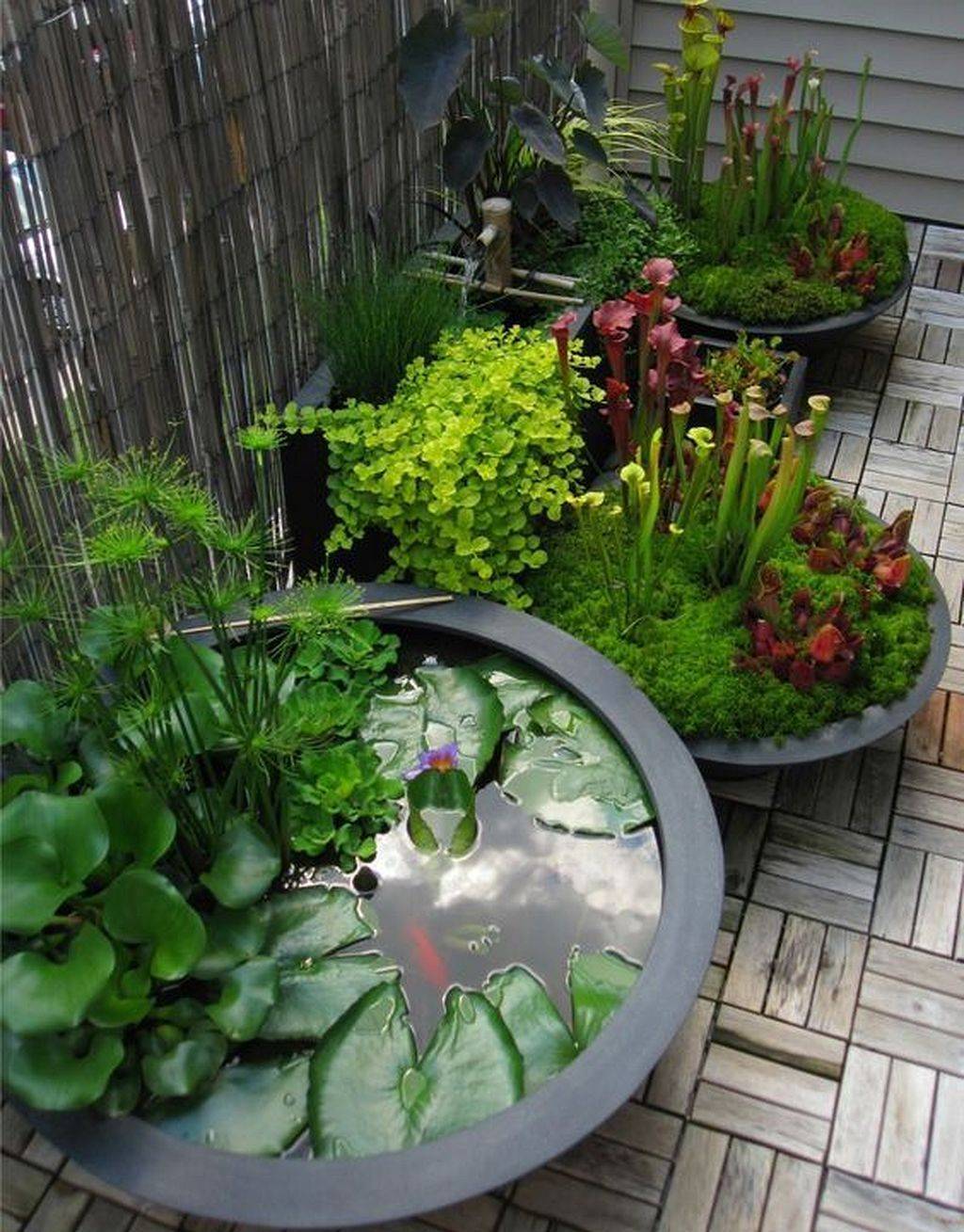 Container Water Garden Ideas