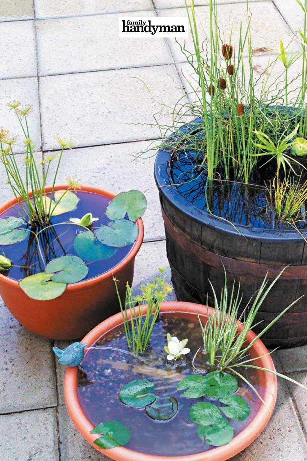 Great Charming Diy Mini Ponds