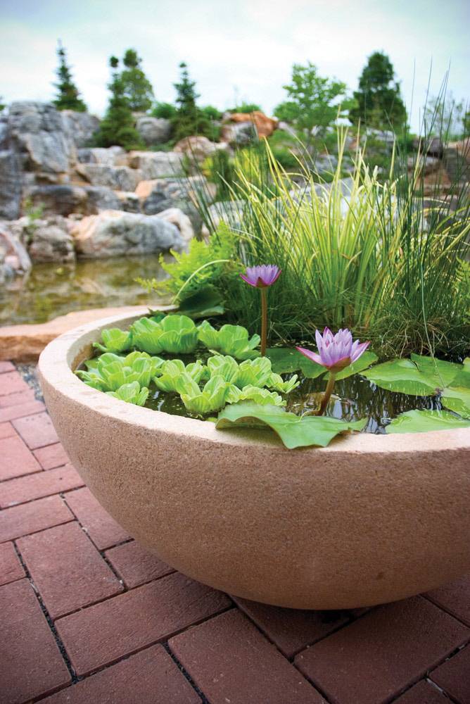 Youtube Container Water Gardens