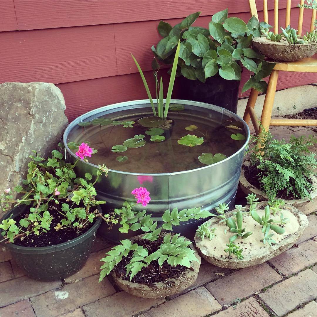 Easy Diy Container Water Gardens