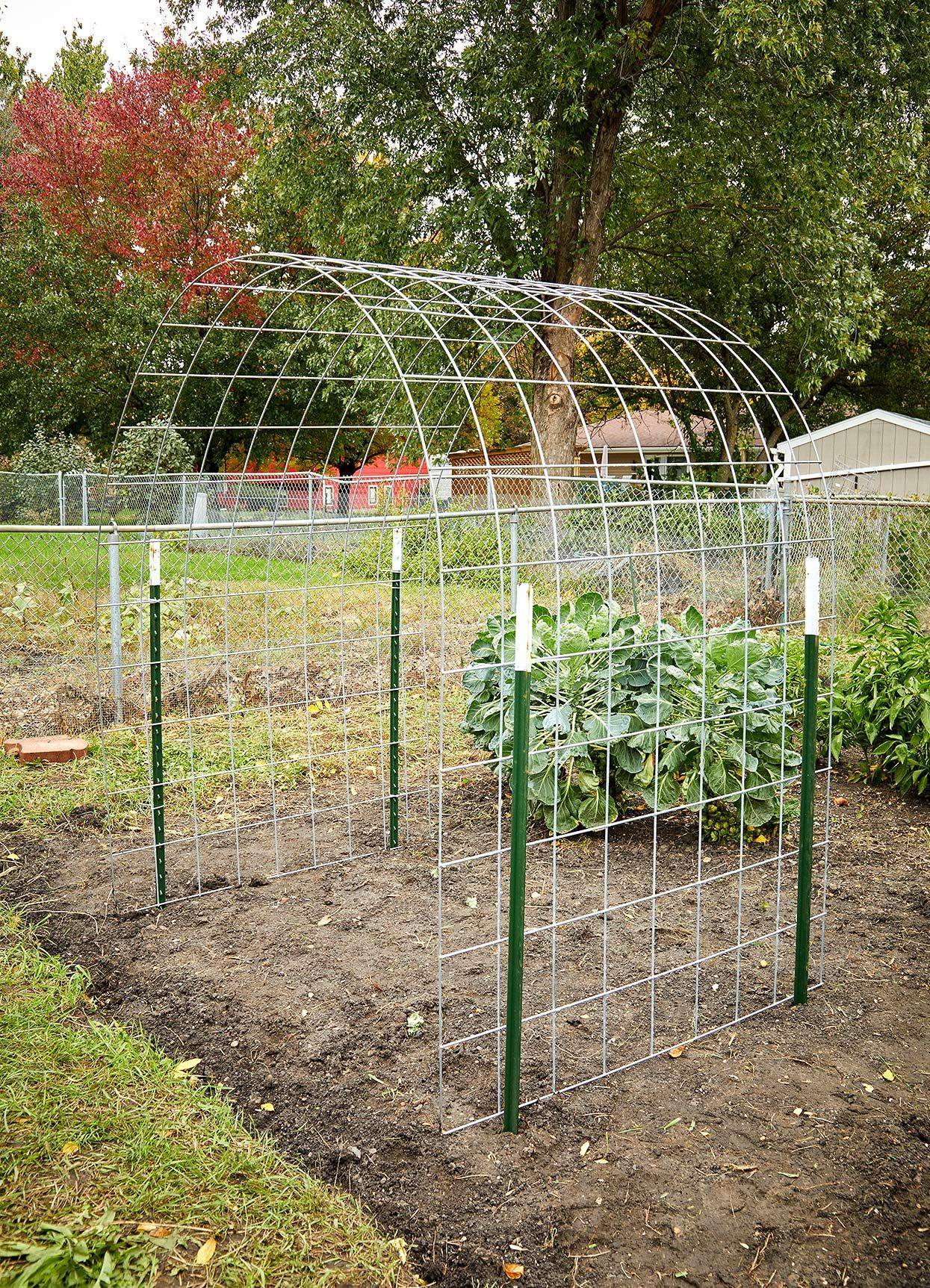 Auctiva Image Hosting Vegetable Trellis