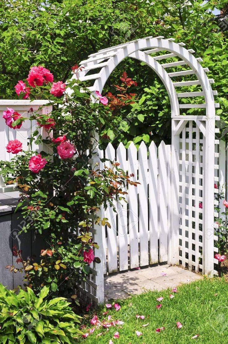 Beautiful Trellis Fence And Screen Ideas