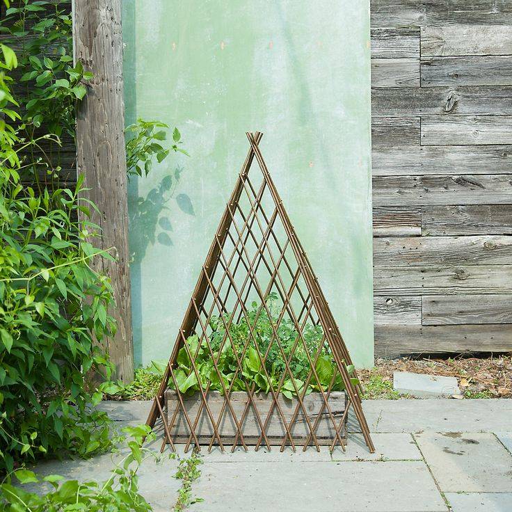 Tower Ivy Tower Black