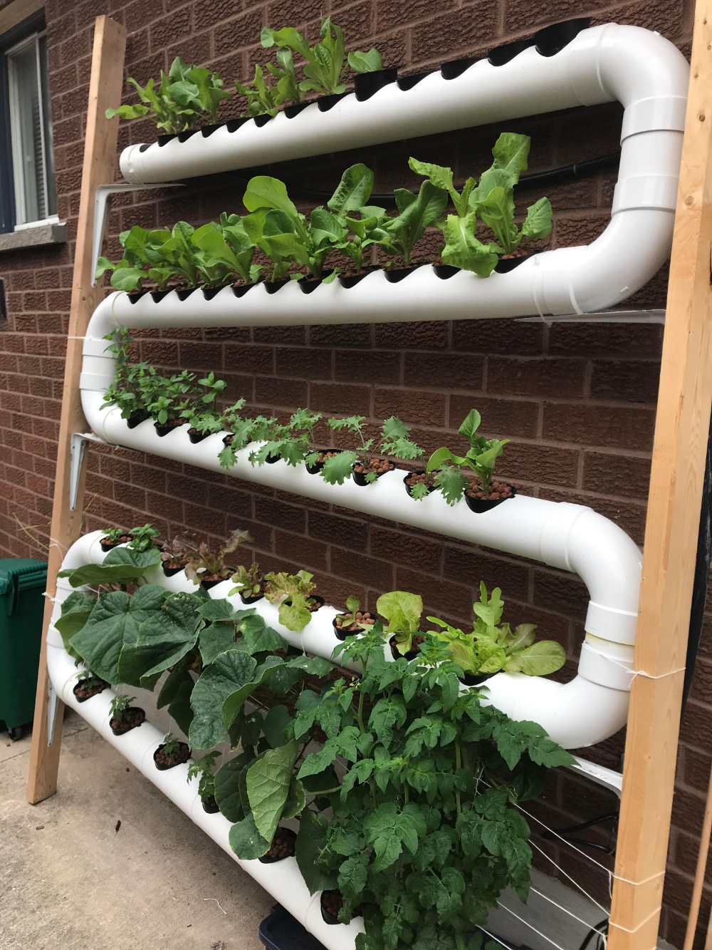 Vertical Hydroponics Gardening Ideas