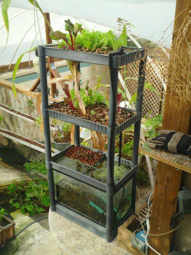 Amazing Hydroponic Systems
