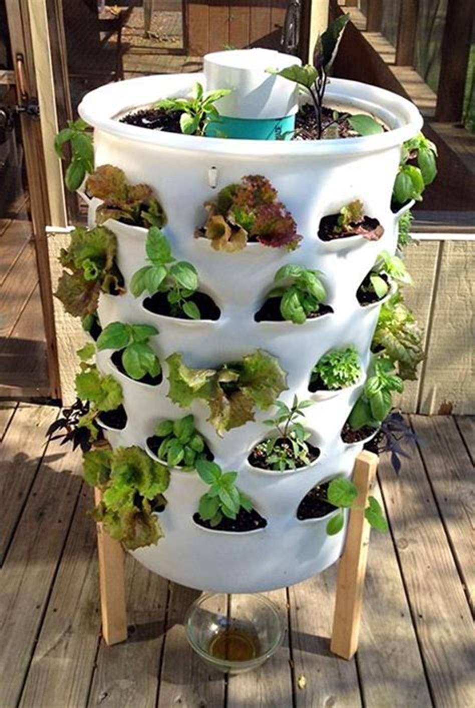 Aeroponic Strawberry Tower