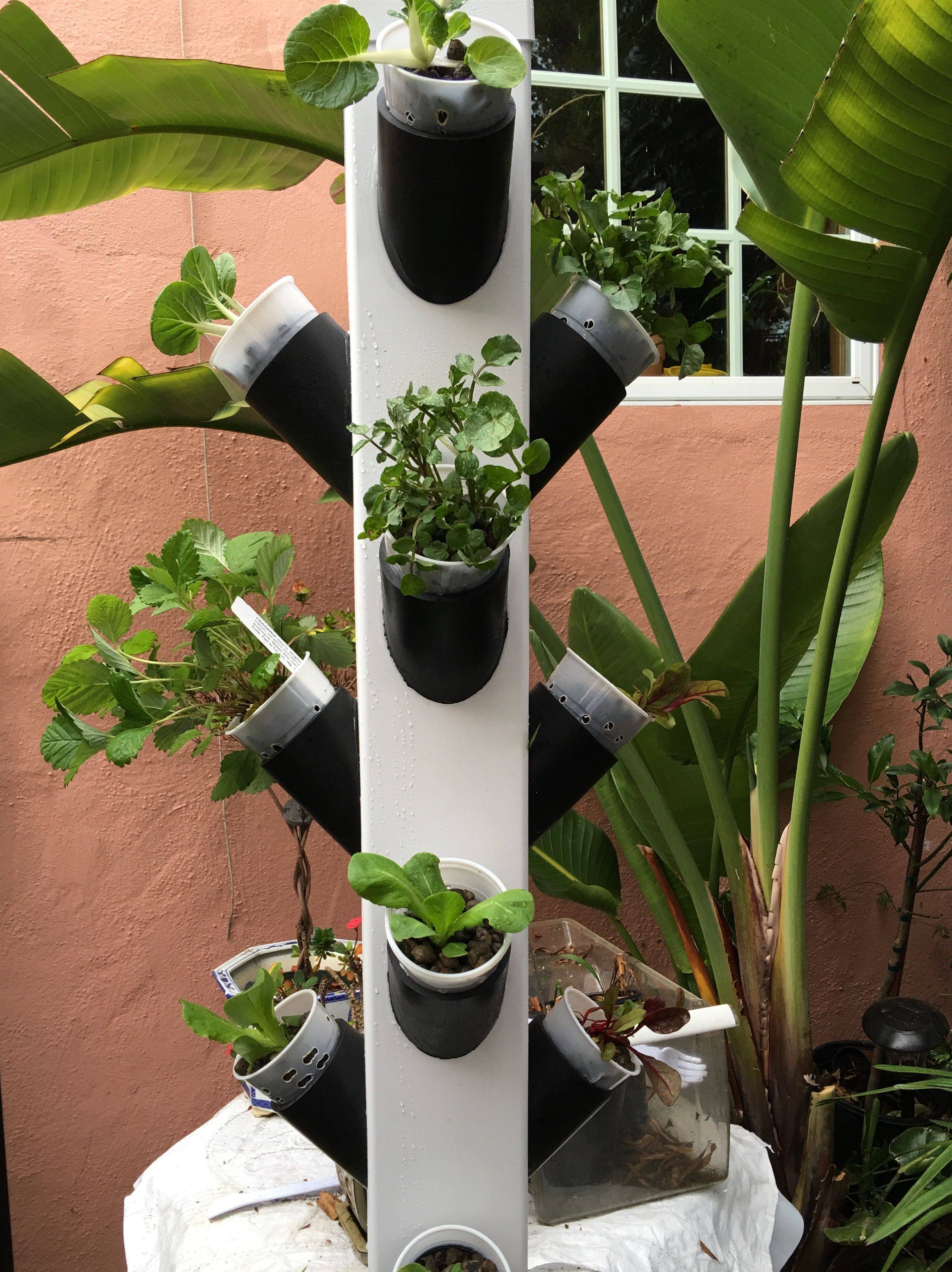 Aquaponics Pdf Aquaponicstanksize Product