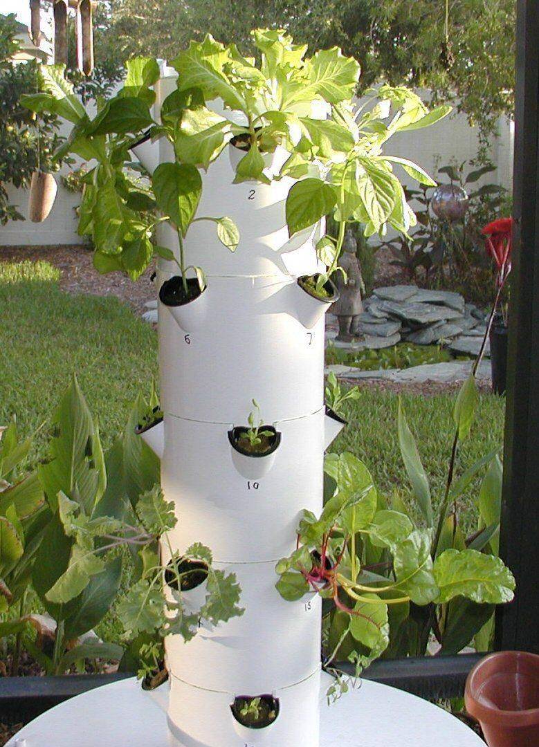 Aquaponics Vertical Vegetable Gardens