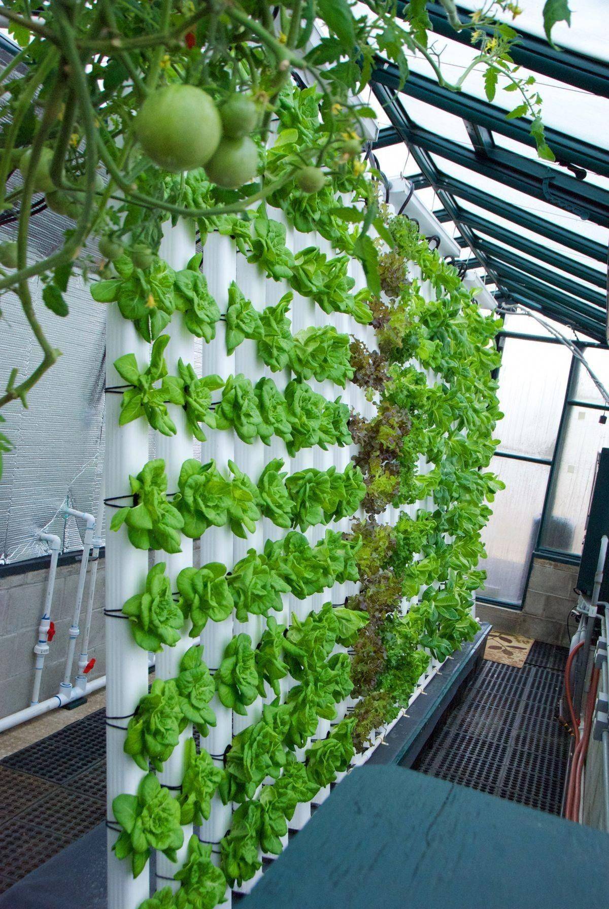 Diy Hydroponic Lettuce Tower