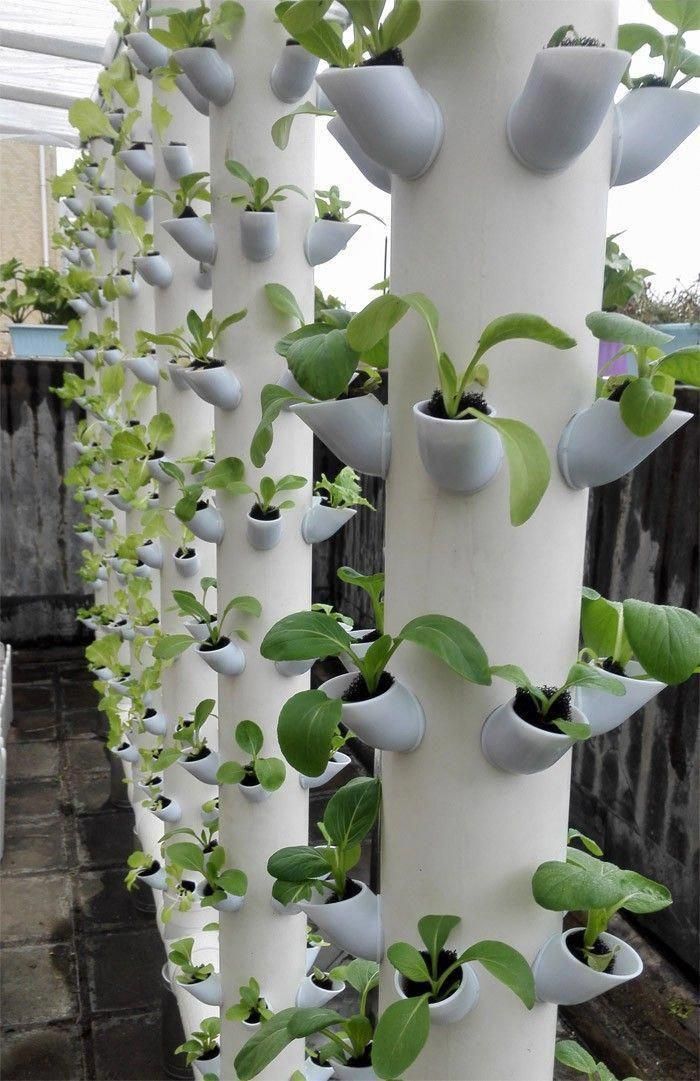 Vertical Hydroponics Gardening Ideas