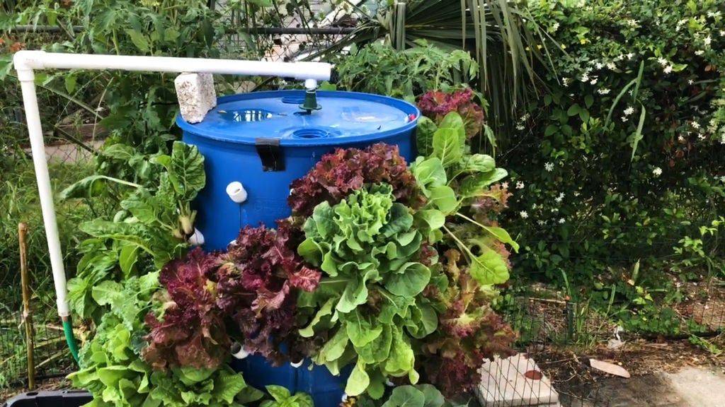 Aeroponic Growing