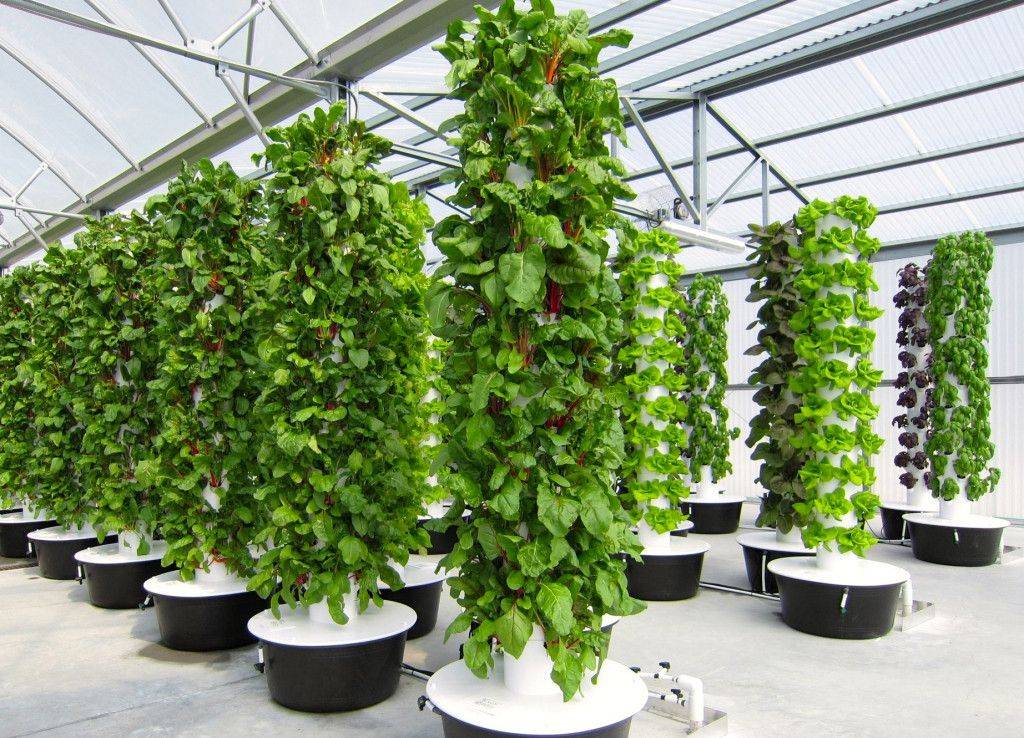 Aeroponic Garden