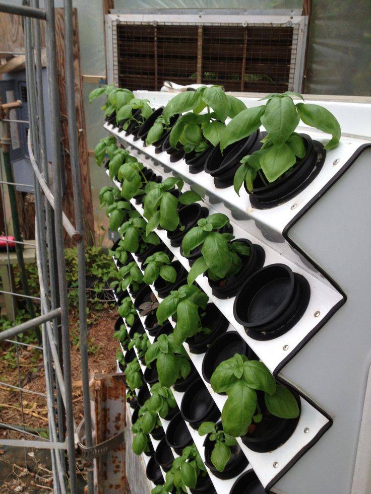 Aeroponics Aquaponics