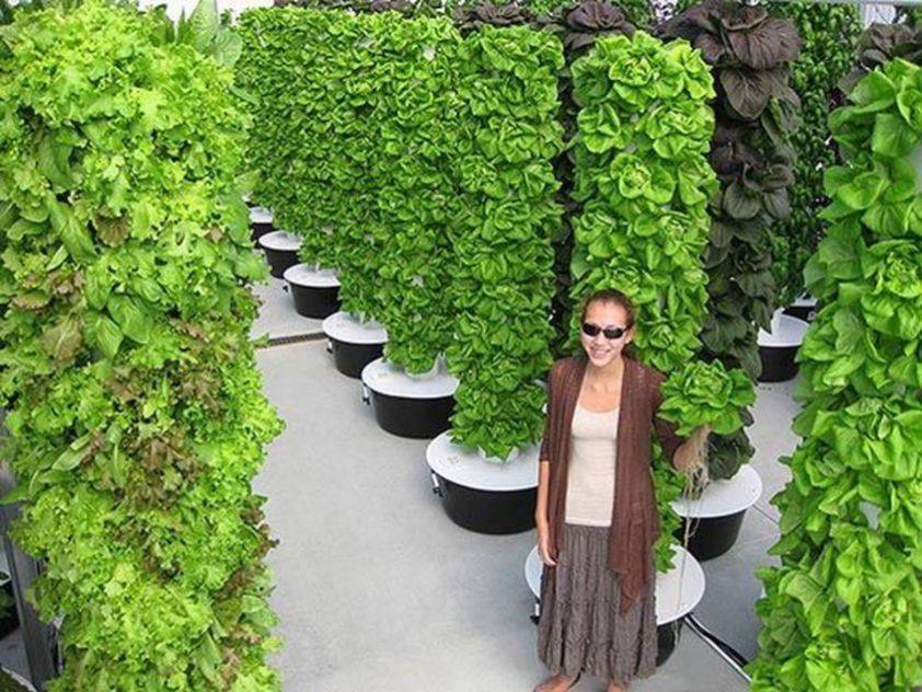 Aeroponics Aeroponics