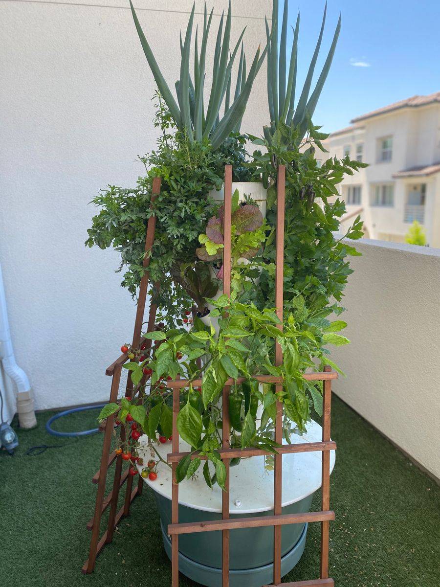 Hydroponic Vertical Garden System Garden Design