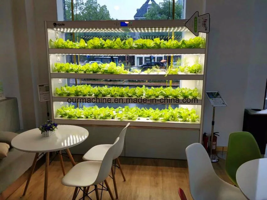 New Agricultural Greenhouse Balcony Aeroponic Tower Vertical Hydroponic